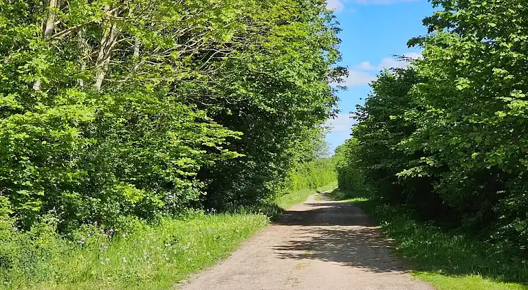 Sommerhus i Thorstorf