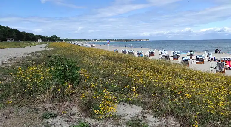 Lägenhet i Niederklutz