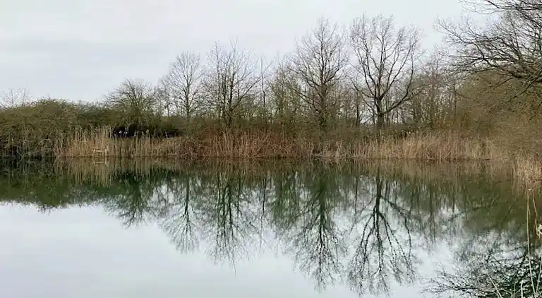 Lägenhet i Niederklutz