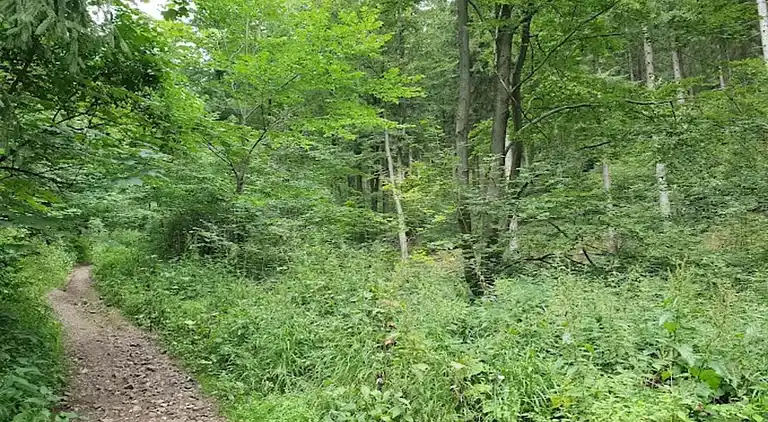 Apartment in Northern Germany