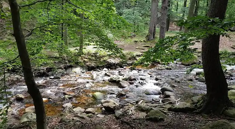 Holiday home in Abbenrode