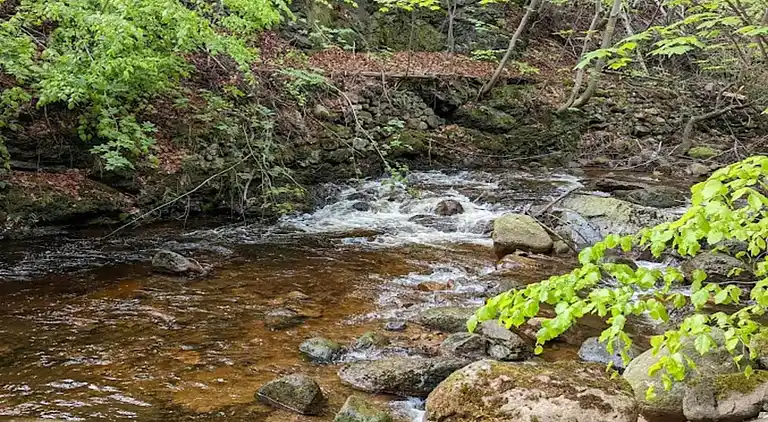 Holiday home in Abbenrode