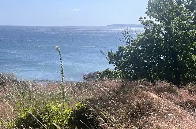 Sommerhus på Bornholm direkte ud til havet