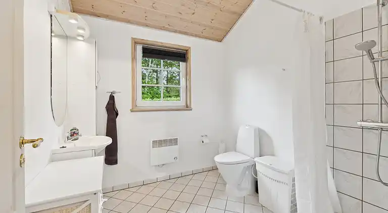 Sommerhus ved Ringkøbing Fjord