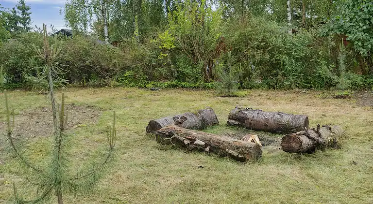 Neubau Tiny House auf Djursland