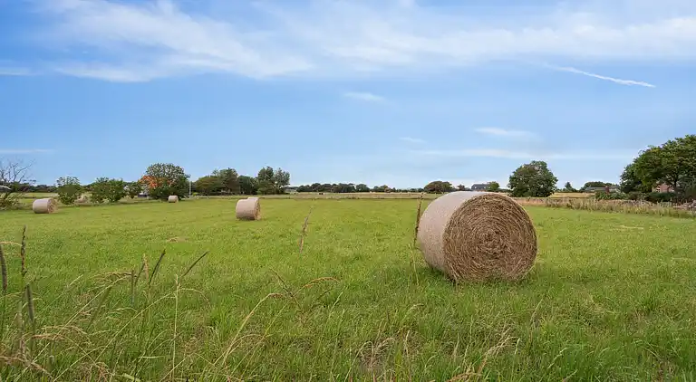 Hyggeligt sommerhus med kig til Vesterhavet