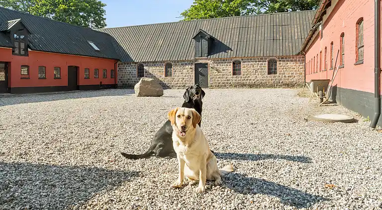 Schönes Haus mit Pool nah am schönen Aarhus