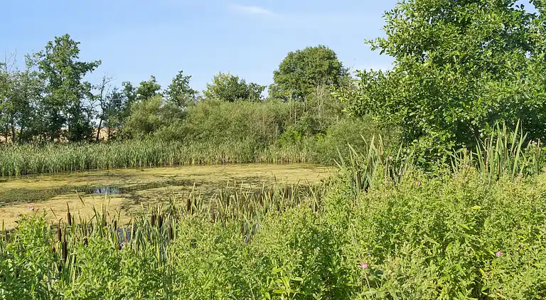 Schönes Haus mit Pool nah am schönen Aarhus
