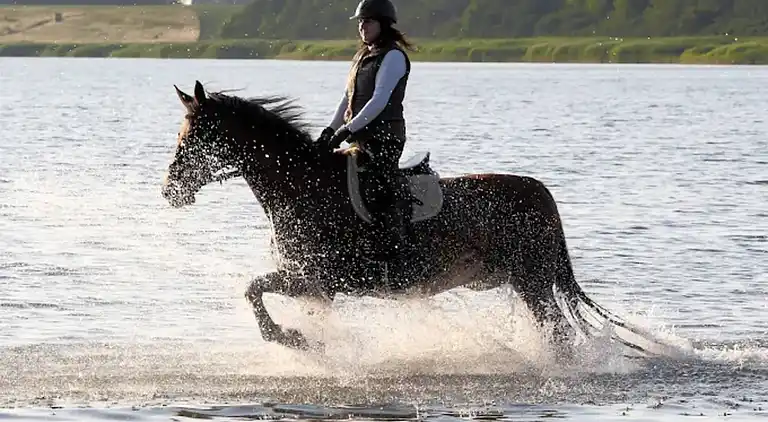 Holiday home in Dumsevitz