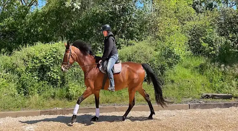 Holiday home in Dumsevitz