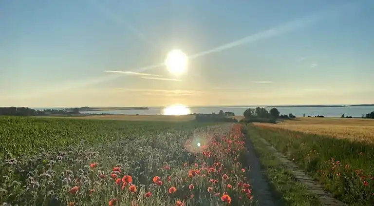 Bungalow in Klein Strömkendorf