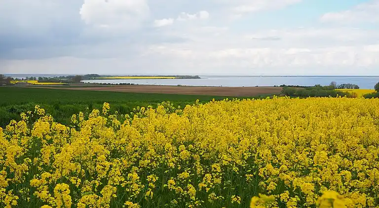 Bungalow in Klein Strömkendorf