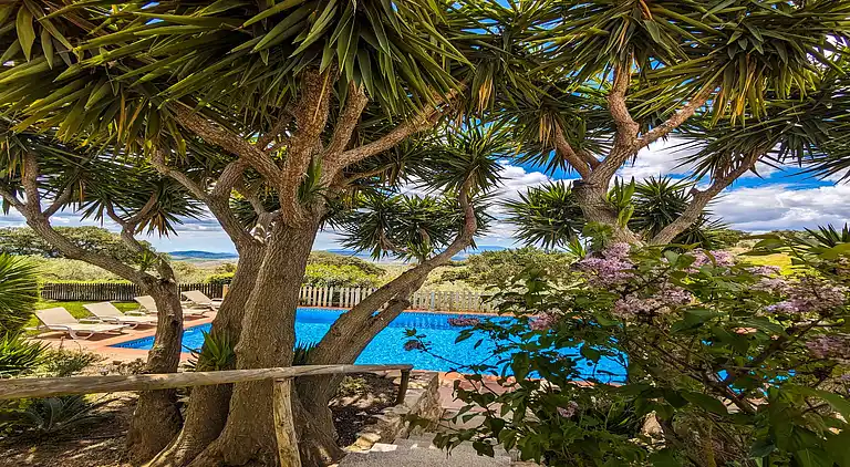 Cottage in Los Nogales