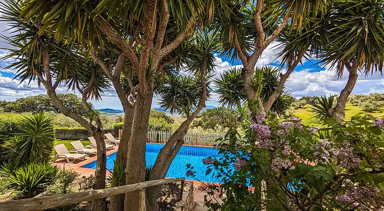 Cottage in Los Nogales