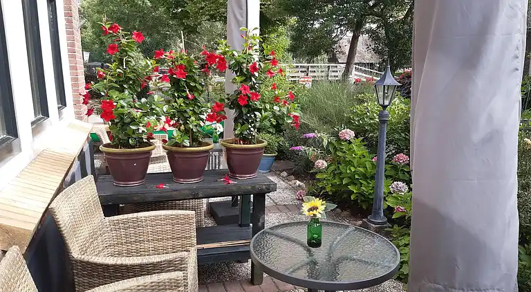 Ferienwohnung in Giethoorn