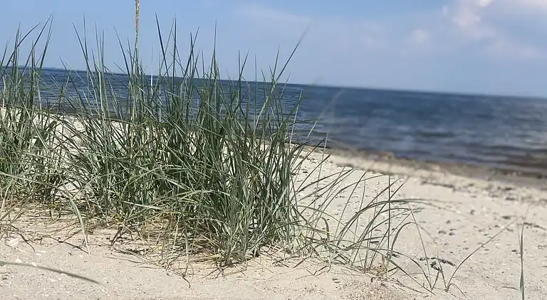 Geräumiges Ferienhaus mit Blick auf den Limfjord