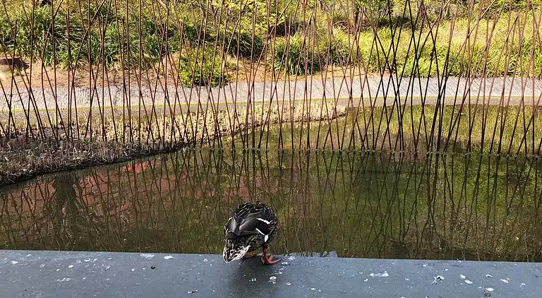 Cosy Eiffel Tower Design Studio