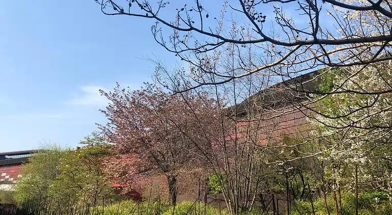 Cosy Eiffel Tower Design Studio