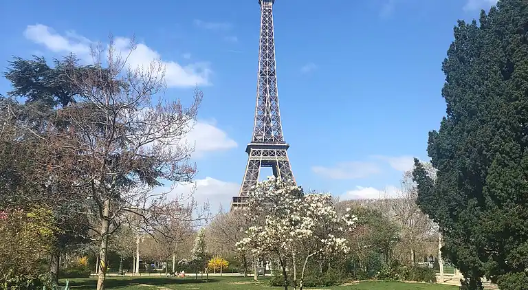 Cosy Eiffel Tower Design Studio