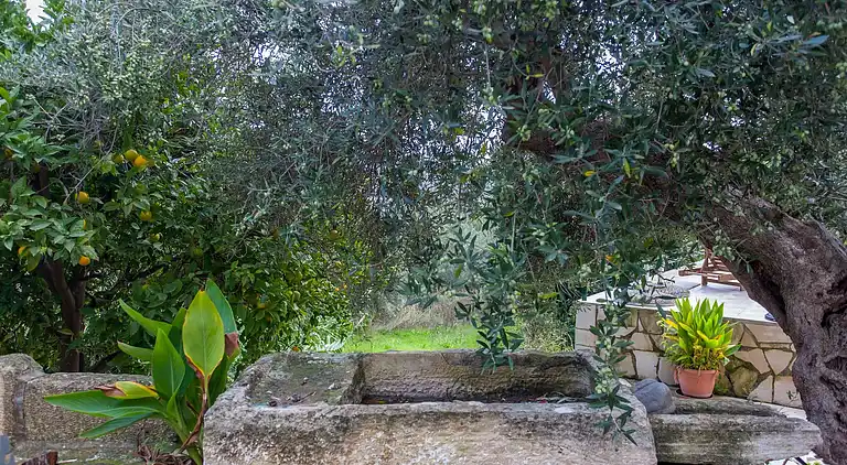 Dream 1 -traditional House With Pool To Share