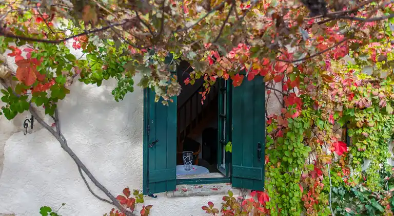 Dream 1 -traditional House With Pool To Share