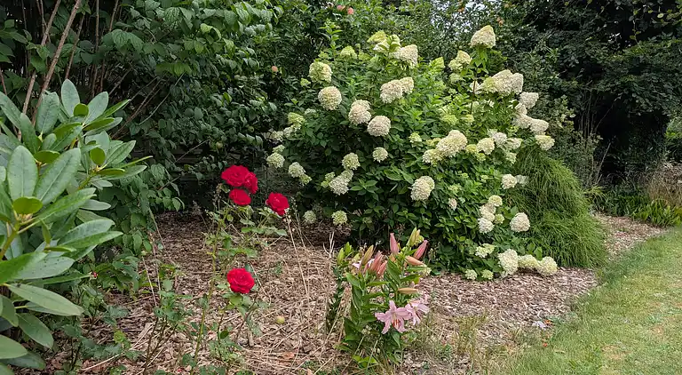Charmantes Ferienhaus mit großem Garten