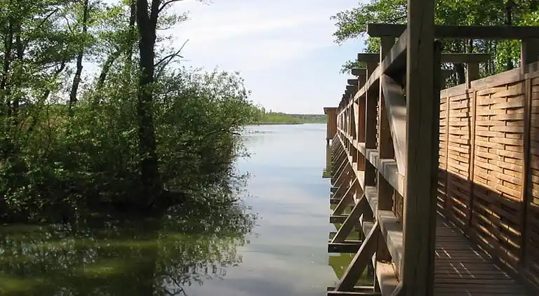 Bungalow i Dobbrikow