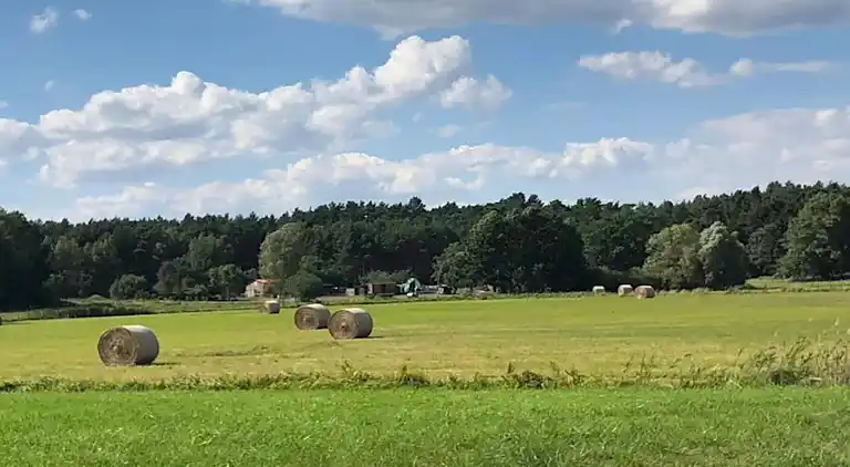 Bungalow in Dobbrikow