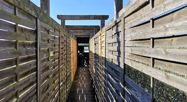 Bungalow in Dobbrikow