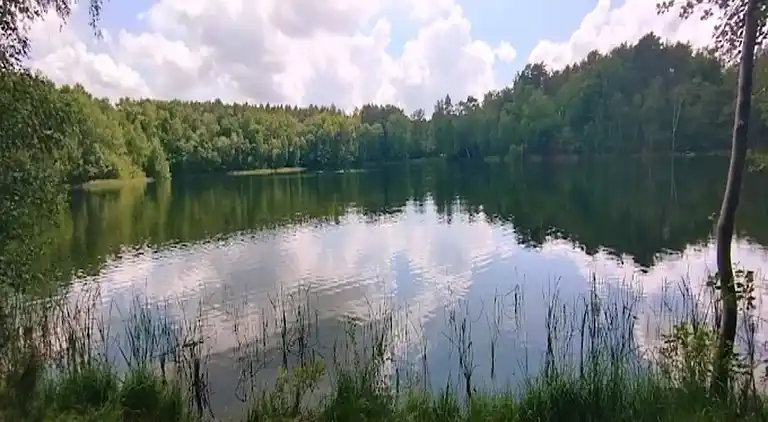 Bungalow in Dobbrikow