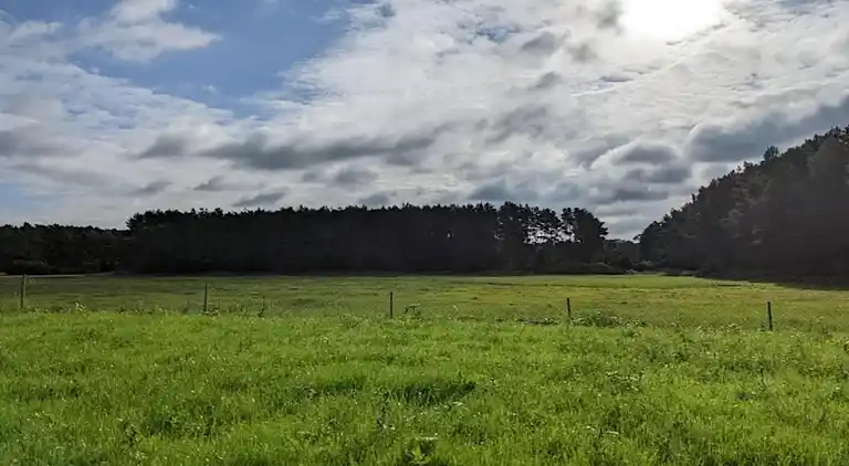 Bungalow in Dobbrikow