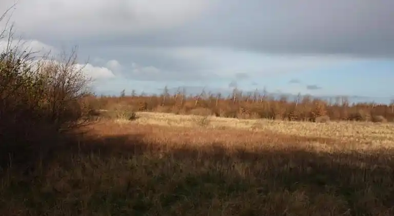 Holiday home in Store Fuglede