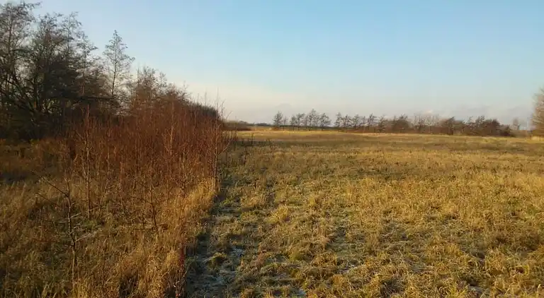 Holiday home in Store Fuglede