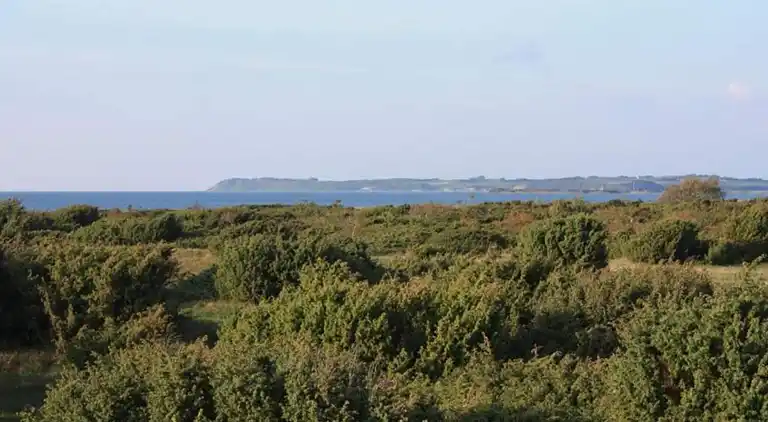 Holiday home in Store Fuglede