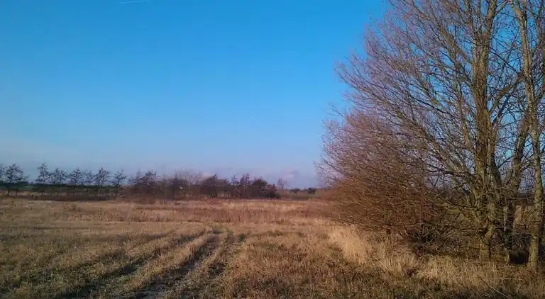 Holiday home in Store Fuglede