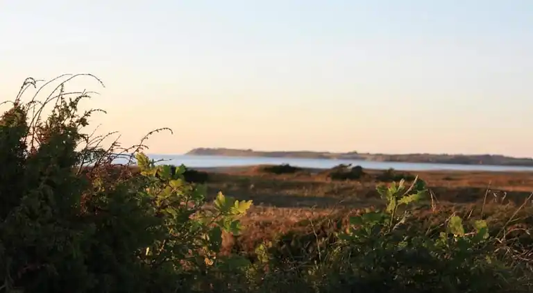 Holiday home in Store Fuglede