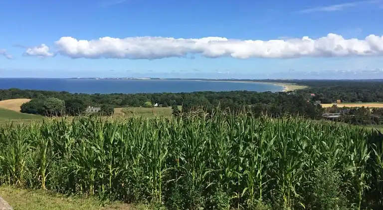 Holiday home in Store Fuglede