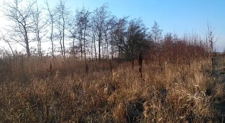 Holiday home in Store Fuglede