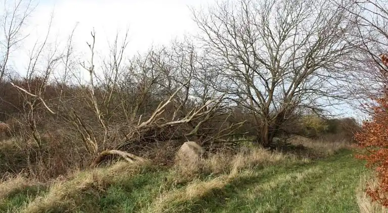 Holiday home in Store Fuglede