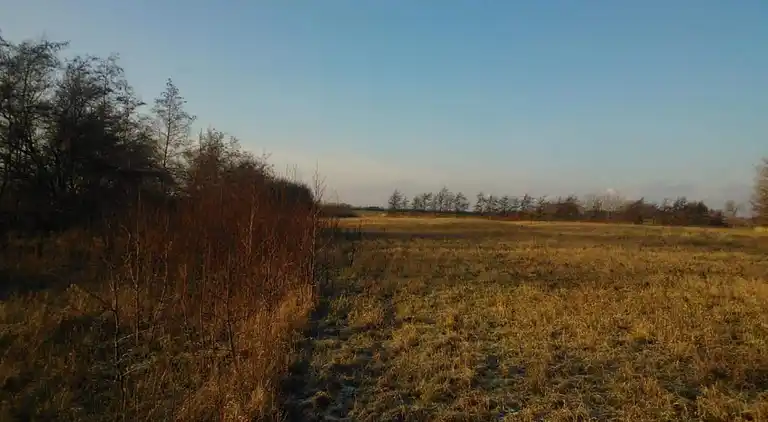 Holiday home in Store Fuglede