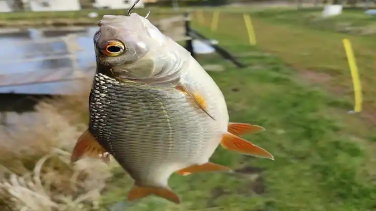 Holiday home in Ustka