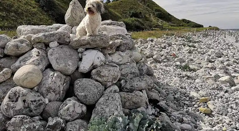 Sommerhus i Sjællands Odde