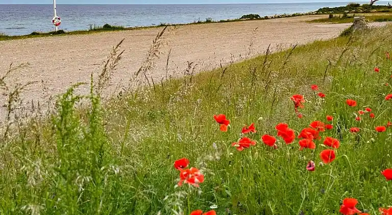 Sommerhus i Sjællands Odde
