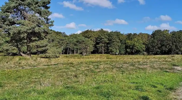 Sommerhus i Sjællands Odde