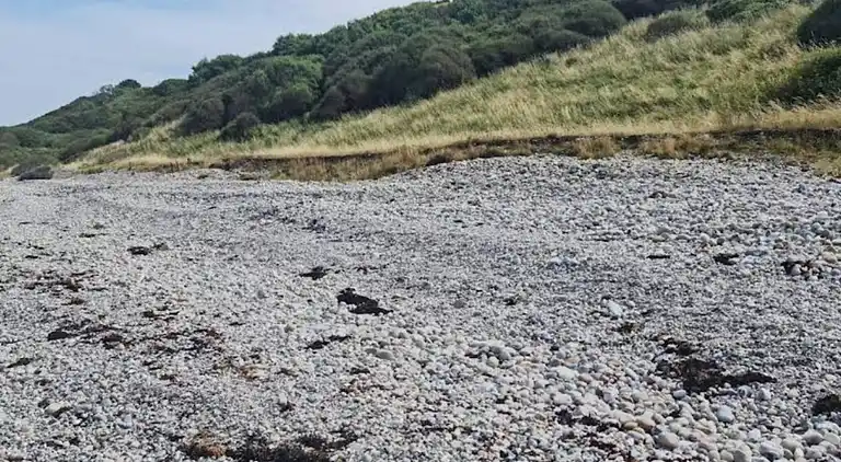 Sommerhus i Sjællands Odde