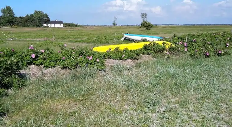 Sommerhus i Sjællands Odde