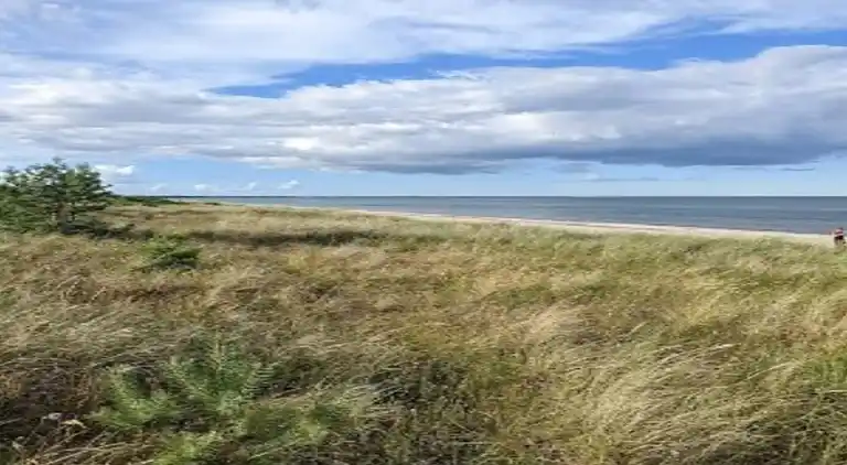 Sommerhus i Millinge