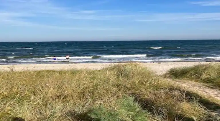 Sommerhus i Millinge