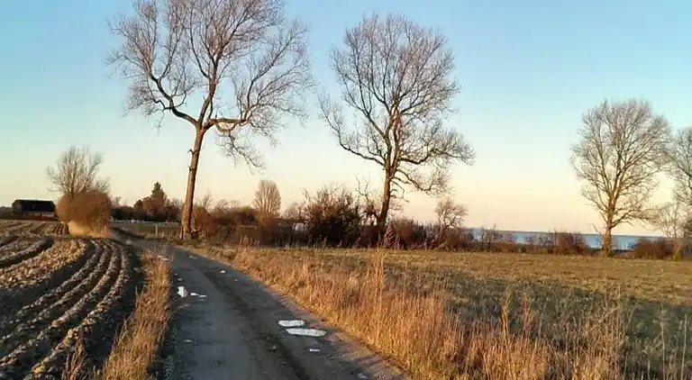 Sommerhus i Millinge