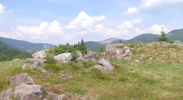 Cottage in Le Thillot